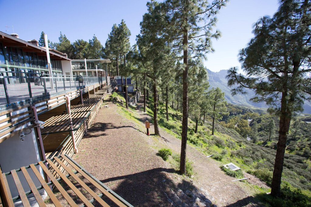 The Standard Room with Forest View at the Hotel Parador de Cruz de Tejeda