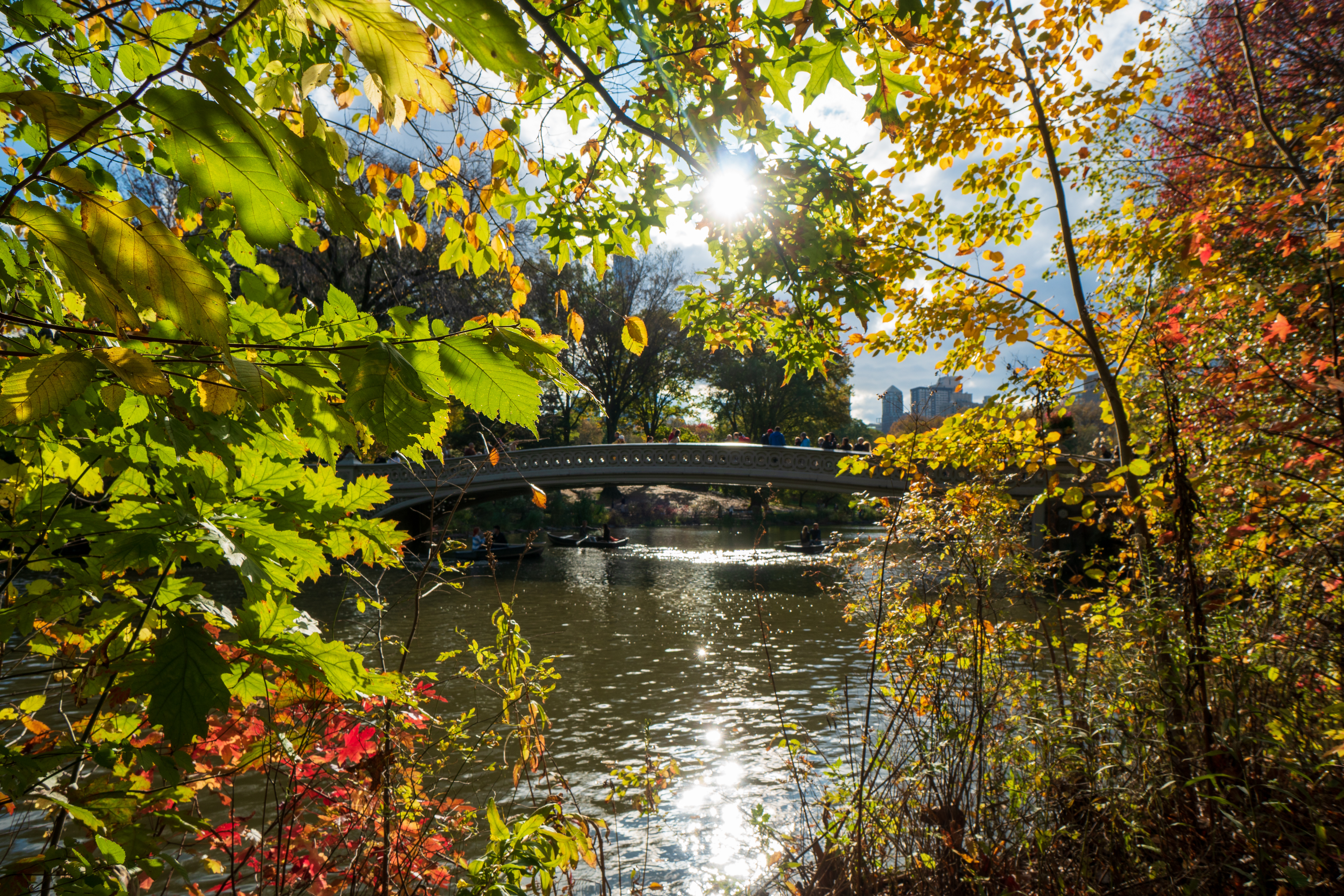 Central Park in the fall