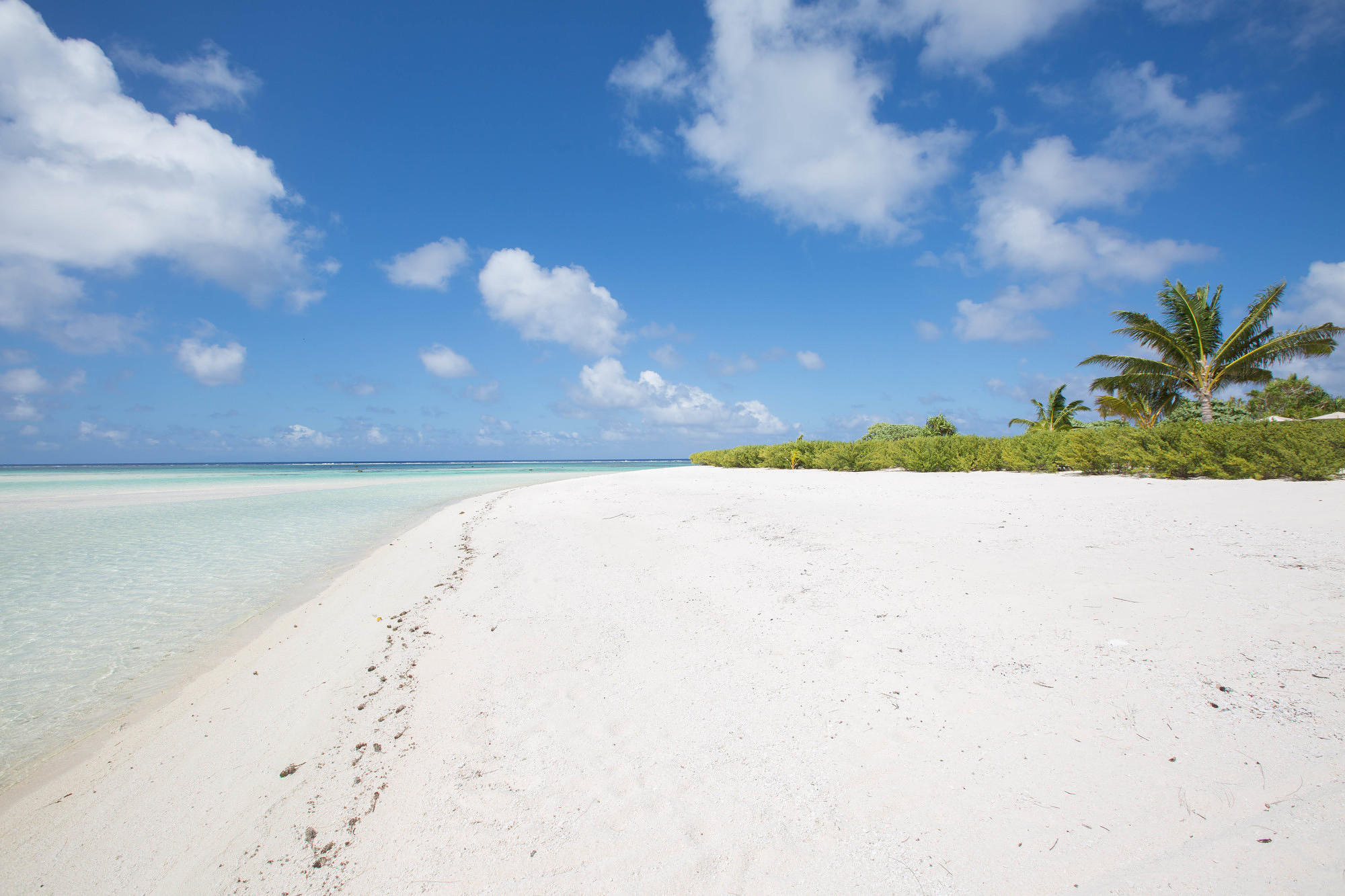 Beach at The Brando