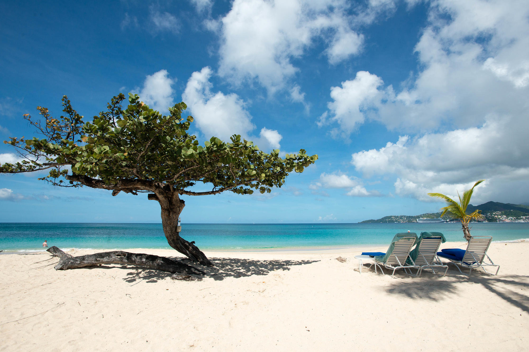 Beach at the Spice Island Beach Resort