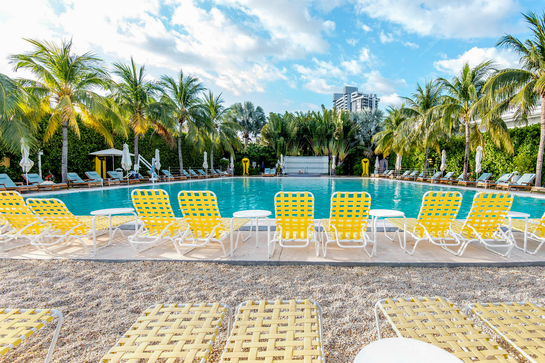 The Infinity Pool at The Standard Miami