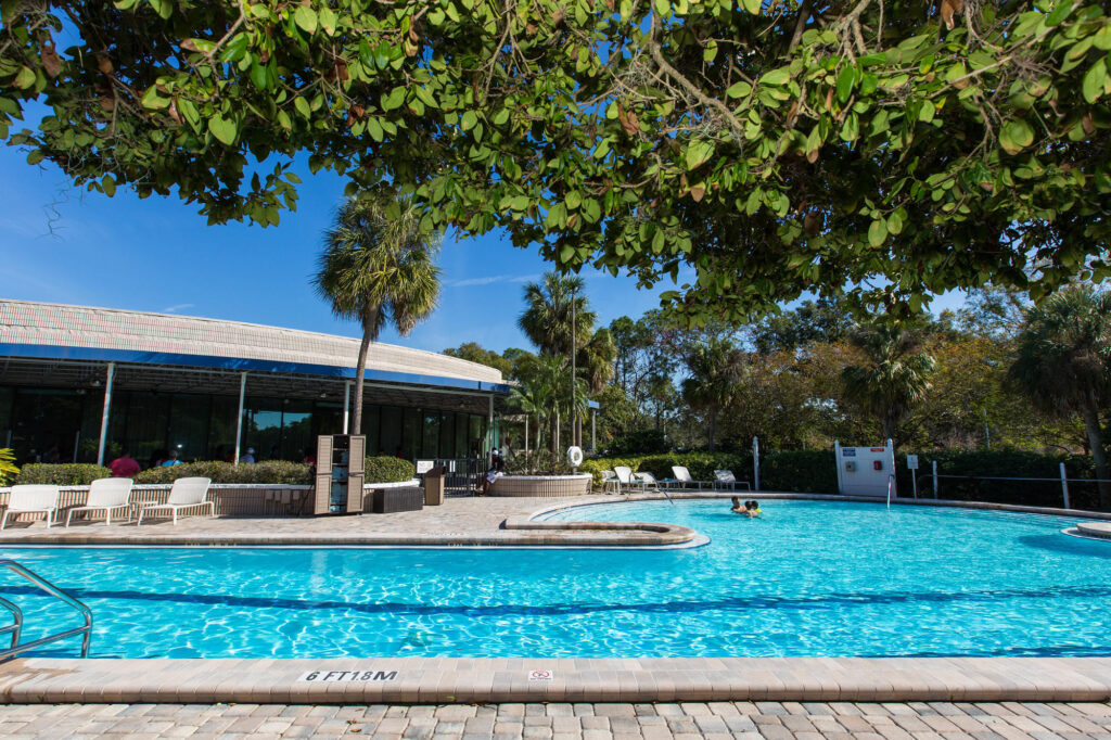 The Pool at the Sheraton Tampa Brandon Hotel