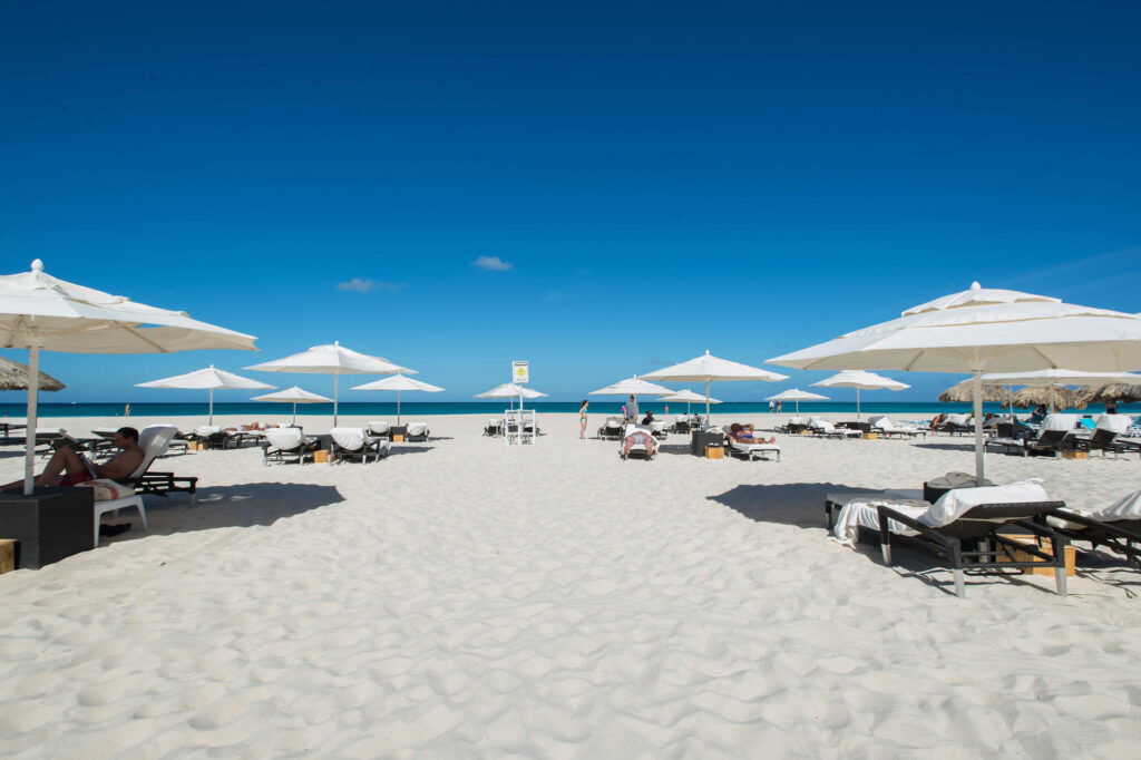 Beach at the Bucuti & Tara Beach Resort Aruba