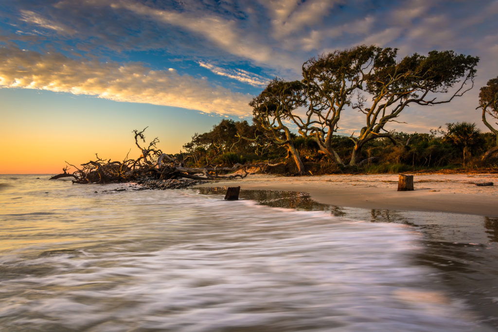 Driftwood Beach, Jekyll Island