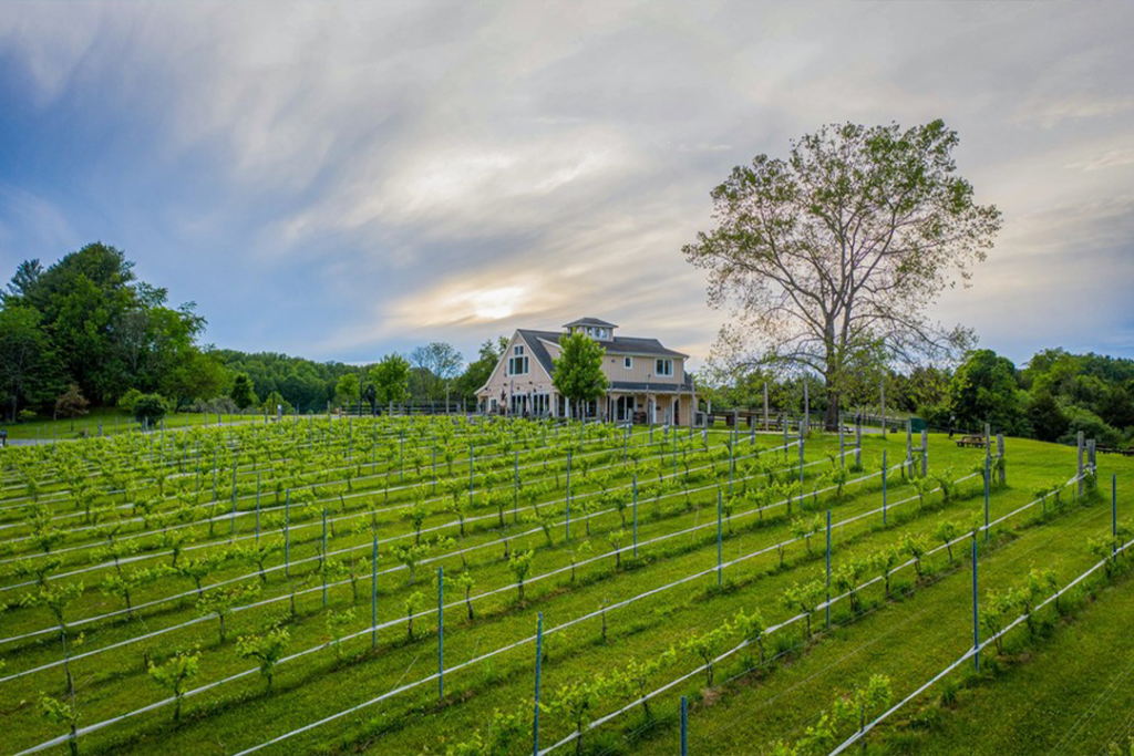 50 West Vineyards in Virginia